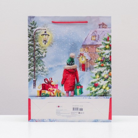 Gift package "visit with gifts", 33 x 42.5 x 10 cm-1