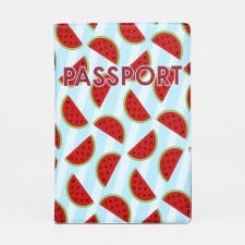 Cover for passport, blue color