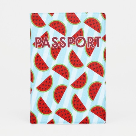 Cover for passport, blue color