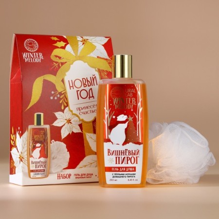 Gift set of cosmetics, shower gel 250 ml and washcloth, Winter Melody by Ural Lab-1
