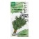 Seeds of dill "Hanak for greenery", 3 g