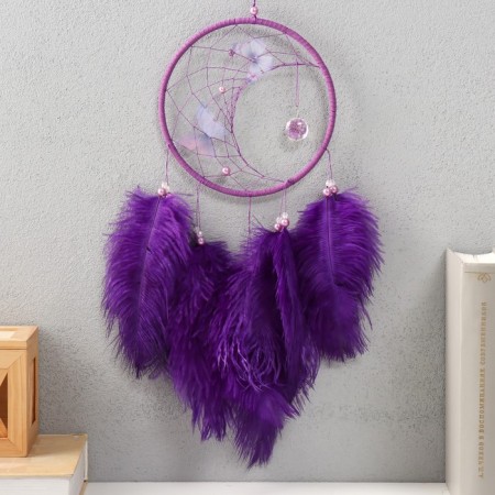 Dreams "Butterflies and ostrich feathers" purple d = 15 cm 50x15 cm