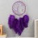 Dreams "Butterflies and ostrich feathers" purple d = 15 cm 50x15 cm
