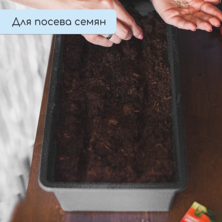 Box for seedlings, 36 × 14 × 9 cm, 3 l, black, "crop-7"-6
