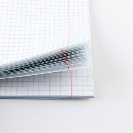 An objective notebook 48 sheets, A5, Cat, with reference materials “September 1: Physics”, cover coated cardboard 230 gr., Inner block in a cage 80 gr., Beliac 96%, block No. 1.-4