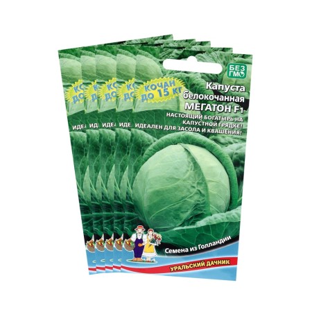 White cabbage seeds of white megaton, set 5 pcs-2