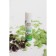 Natural lip balm "Mint", 6 ml