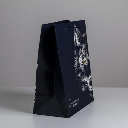 Package Gift Laminated Vertical, packaging, “strong spirit”, ml 23 x 27 x 11.5 cm-2