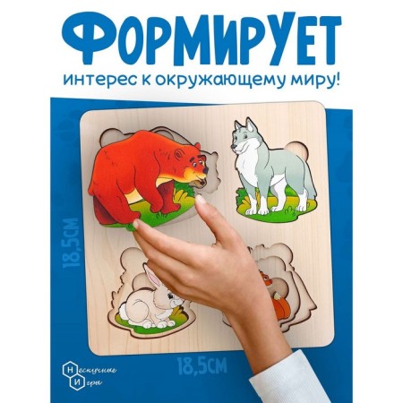 More or more "wild animals"-3