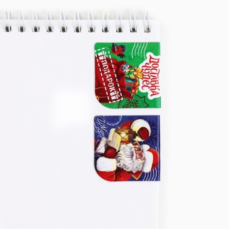 New Year. Magnetic bookmarks 2 pcs on the substrate "Delivery of miracles!"-1