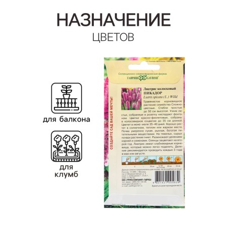 Liatris seeds "Picador", 0.05 g-2