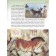 Animals from wild to home