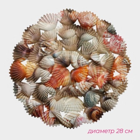 The lattice in the sink of the round share "shells", 28 × 28 cm-2