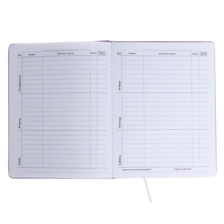 Universal diary for grade 1-11 Confidential, hard cover, artificial leather, foam rubber, liesse, 80 g/m2-6