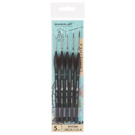 System of Synthetics 5 pieces, Brauberg Art Classic, ergonomic