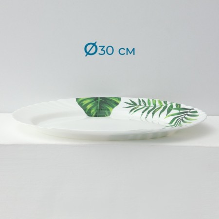 Service table "Fern sheet", 37 items, glass ceramics-24