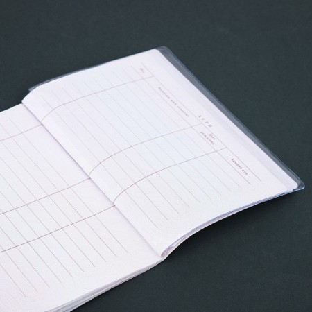 Case for passport sheets, 10 sheets, transparent-2