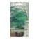 Seeds of flowers asparagus cirrus "Web", 5pcs.