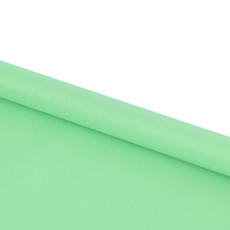Roller curtain 50 x 175 cm, "Plain", the color is light green-1