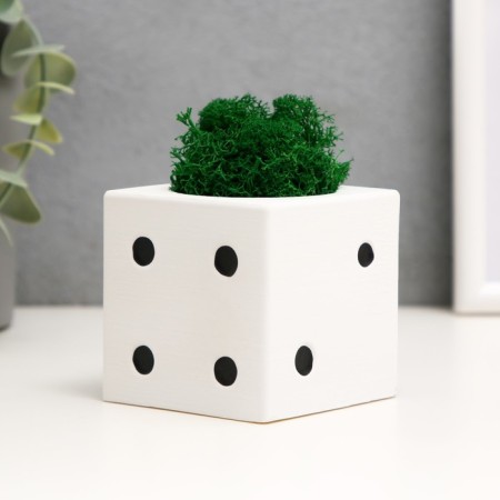 Concrete Kashpo "Player bone" with moss white with black 7x7x7 cm (moss green stabilizir.)-2