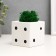Concrete Kashpo "Player bone" with moss white with black 7x7x7 cm (moss green stabilizir.)