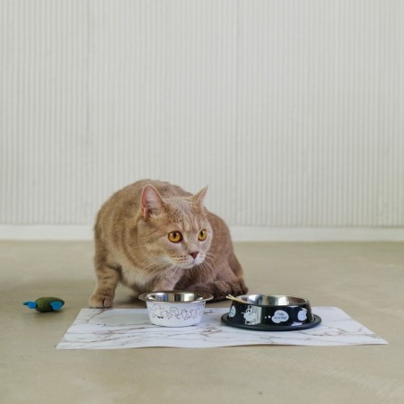 Metal bowl for a cat with a non -slip base “I want to eat”, 235 ml, 15x3.5 cm-5
