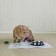 Metal bowl for a cat with a non -slip base “I want to eat”, 235 ml, 15x3.5 cm