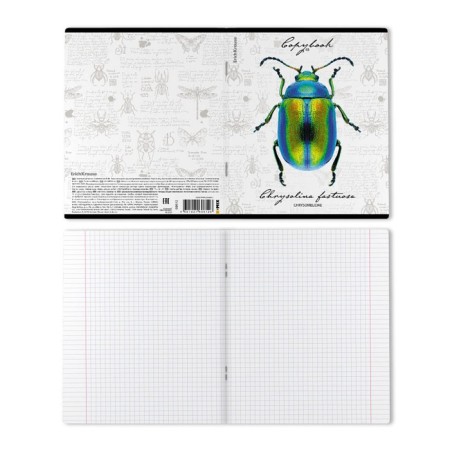 Notebook of 48 sheets in the Erichkrause "Beetles", matte lamination, an offset block 100%, mix-7