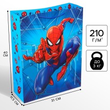 Gift package, 31x40x11 cm, packaging, spider-man