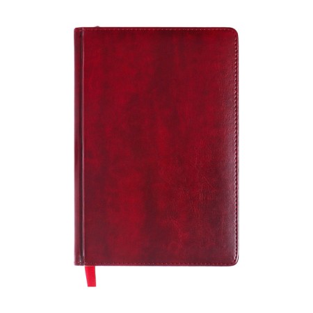 Dated diary of 2025, A5, 168 sheets in the ruler, leatherette "Nebraska", gold cut, burgundy-1