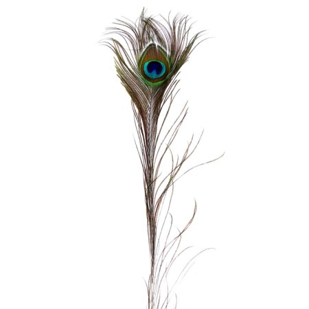 Feather Pavlin for decor, size - from 90 to 100 cm-6