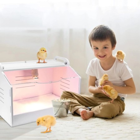Bruder for chickens Hobbyfarm PBB01-E 48x30x30 cm with a thermostat-4