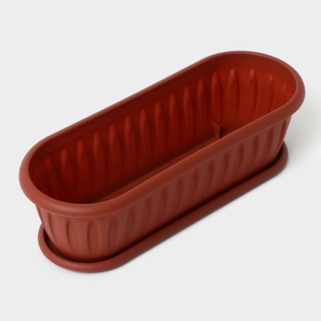 A pot for a cactus with a felicia pallet, terracotta color-2
