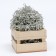 Paper filler, gray, 500 g