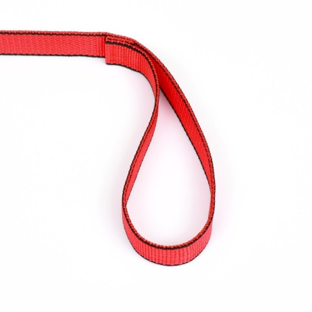 Leash 2 m x 2.5 cm, red-black-2