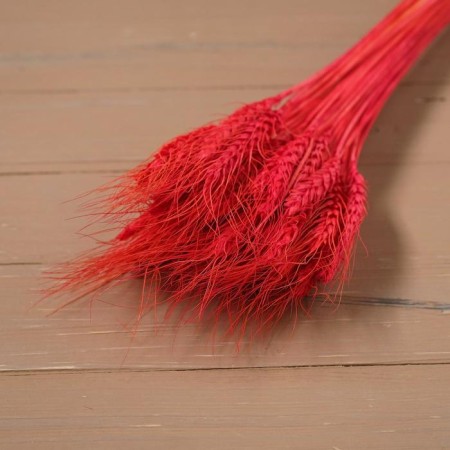 Dry Column of wheat, set 50 pcs., Red color-4