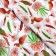 Package Paper "Garden", 50 cm x 70 cm, 17 grams