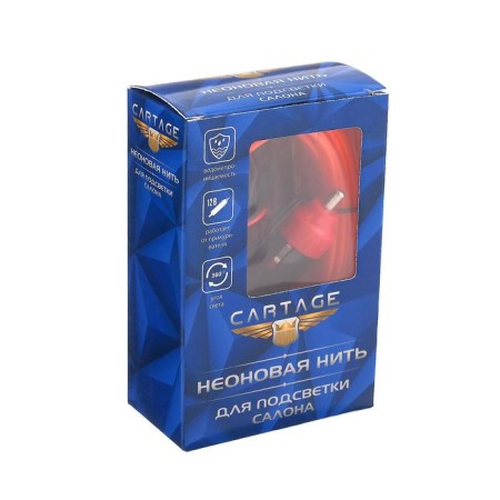 Cartage neon thread for lighting salon, feeder 12 V, 5 m, red power adapter-4
