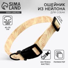 Ошейник Paradise life, застёжка - фастекс, 2.5 см, 40-55 см