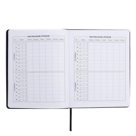 School diary for grades 1-11, fiery dragon, solid cover, artificial leather, application, pancake embossing, foil embossing, universal cheat sheet, 48 sheets, block 80g/m2-7