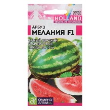 Watermelon seeds 