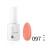 No. 097 Coral reef