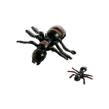 Set of insects "ants"-4