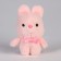 Soft toy "Bunny", mix