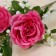 Artificial flowers "Amuria rose" 7x62 cm, bright pink