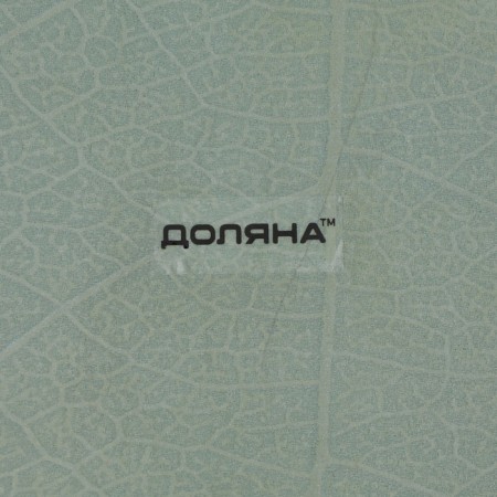 Glass Serving shares "Leaf", 31 × 19 cm, green color-8