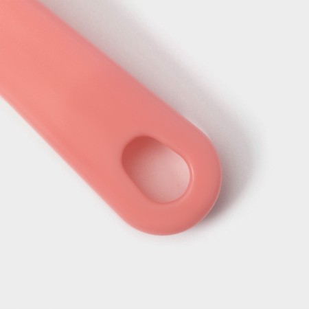 Brush for dishes of the share "Sphere", 23 × 6 × 4 cm, color mix-6