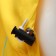 Combineson for dogs, DUPO, size XL (DS 40, OG 54), yellow