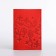 Cover for passport, red color