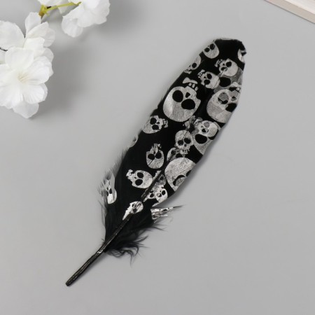 Feather of decorative pheasant "skull" black with silver h = 15-20 cm